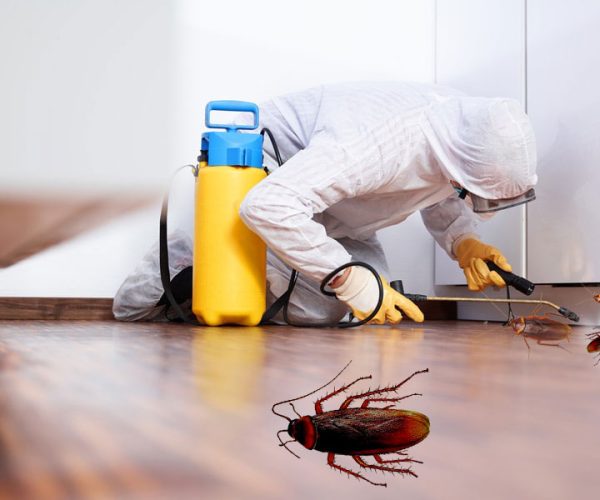 Pest-control-services -